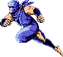 Ryu Hayabusa