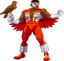 the Falcon: 2025 the Falcon: 2025