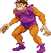 Toad: 2024 Toad: 2024