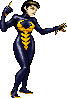 Wasp Wasp