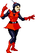 Wasp Wasp