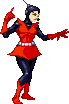 Wasp Wasp