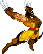 Wolverine Wolverine