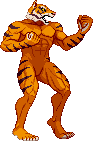 Tiger - P2: 2015 scratch-made, fighting stance Tiger - P2: 2015 scratch-made, fighting stance