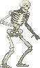 Skeleton