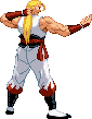 Andy Bogard