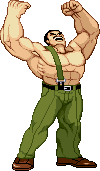 Haggar: 2009 edit based on official art Haggar: 2009 edit based on official art