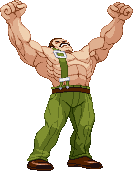 Haggar: 2019, pose based on official art Haggar: 2019, pose based on official art