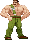 Mike Haggar: based on official art Mike Haggar: based on official art