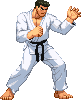 Karate Champ - white karategi: stand
