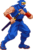 Ryu Hayabusa: 2022, NES fight stance