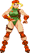 Cammy: 2020 -update 2023, Cannon Spike