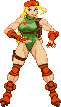 Cammy: 2020 -update 2023, Cannon Spike Cammy: 2020 -update 2023, Cannon Spike