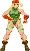 Cammy: 2020 -update 2023, Street Fighter V Cammy: 2020 -update 2023, Street Fighter V