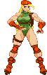 Cammy: 2020, Cannon Spike