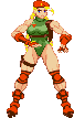 Cammy: 2020, Cannon Spike Cammy: 2020, Cannon Spike
