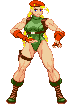 Cammy: 2020, Street Fighter V Cammy: 2020, Street Fighter V