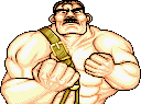 Haggar Haggar