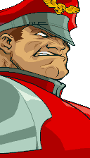 Bison Bison