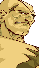 Sagat Sagat