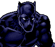 Black Panther Black Panther