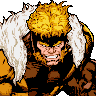 Sabretooth Sabretooth