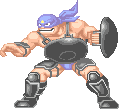 Sledge