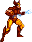 Wolverine Wolverine